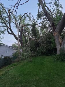 1105 15th Tree Damage