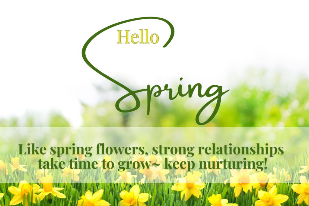 Hello Spring - Bild a Better Business